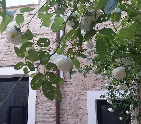 Couette-café Appartamenti Ravenna Ravenne