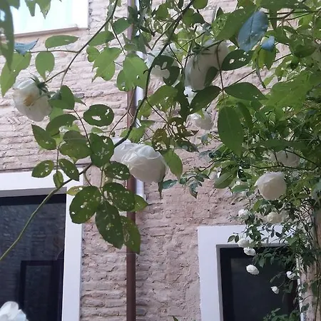 לינה וארוחת בוקר Appartamenti Ravenna ראבנה